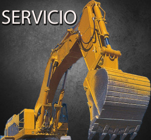 Servicio